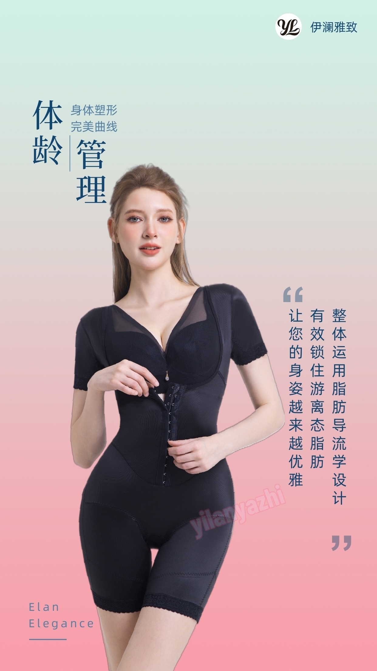 公司介绍